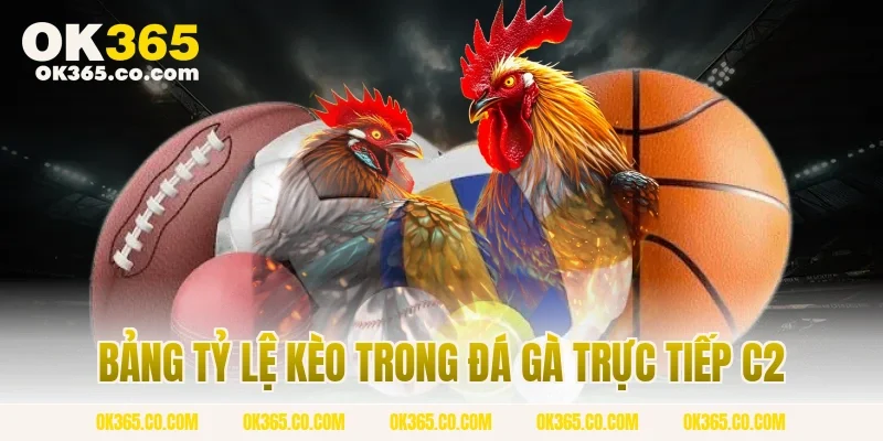 Bảng Tỷ Lệ Kèo Trong Đá Gà Trực Tiếp C2
