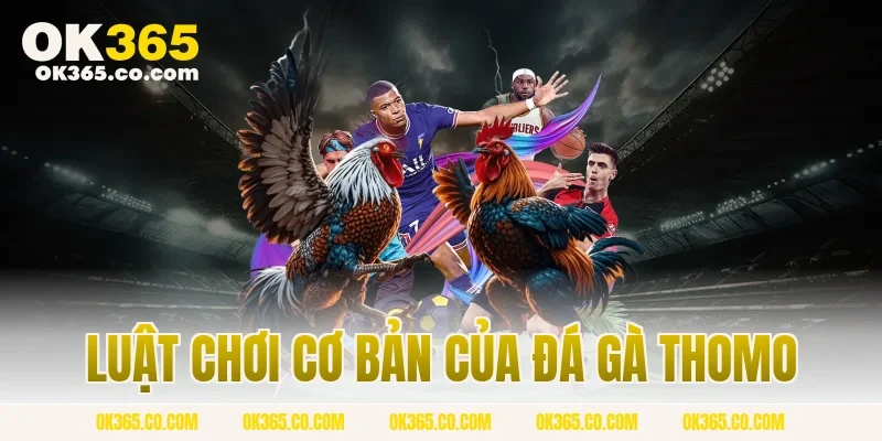 Luật Chơi Cơ Bản Của Đá Gà Thomo
