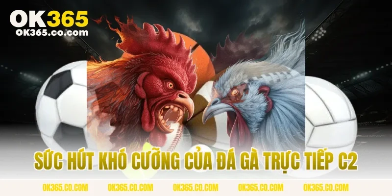 Sức Hút Khó Cưỡng Của Đá Gà Trực Tiếp C2