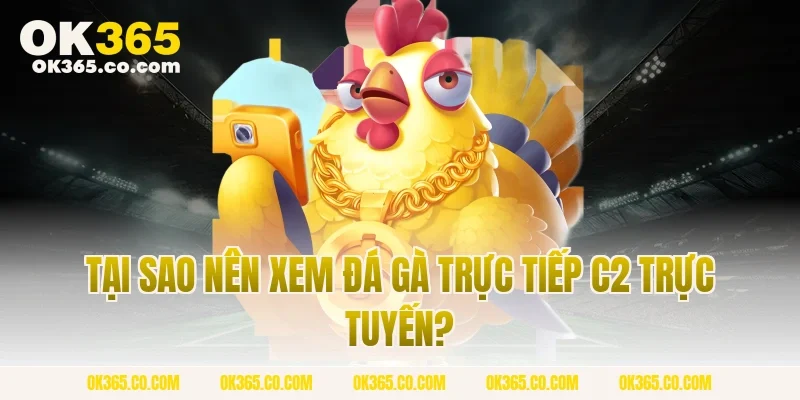Tại Sao Nên Xem Đá Gà Trực Tiếp C2 Trực Tuyến?